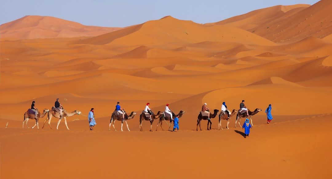 Camel Trekking Tips